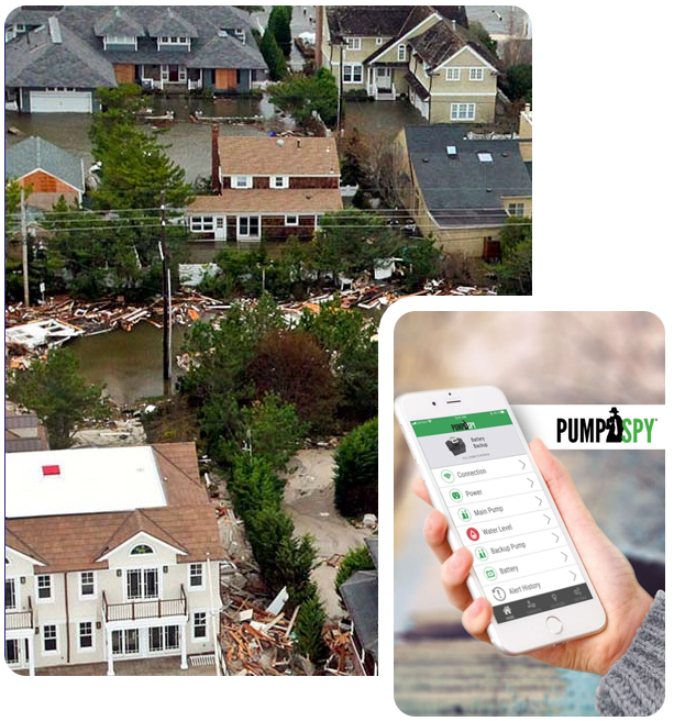 Flood and Mold NJ